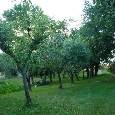 Agriturismo Lupo Bianco มอนซามบาโน ภายนอก รูปภาพ
