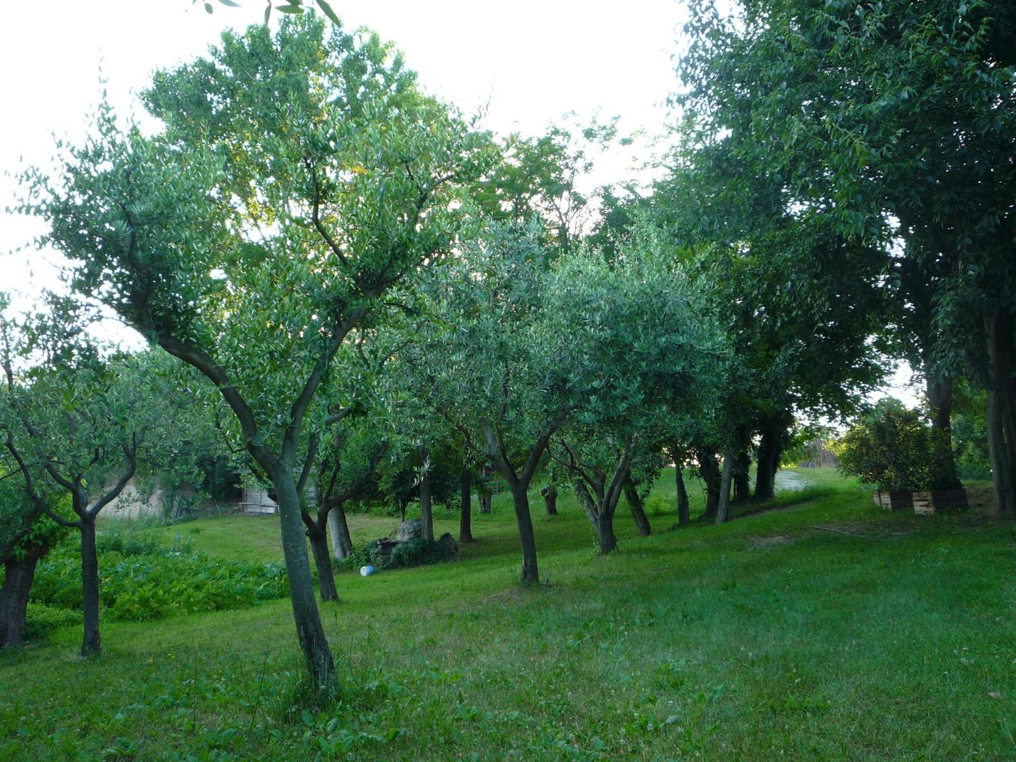 Agriturismo Lupo Bianco มอนซามบาโน ภายนอก รูปภาพ